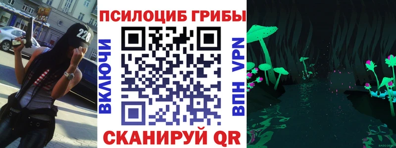 Купить закладки  Подпорожье  Псилоцибиновые грибы прущие грибы 